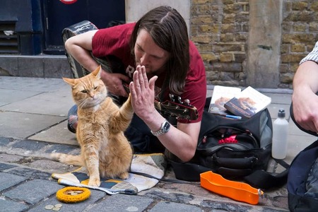 ボブという名の猫 幸せのハイタッチ .jpg