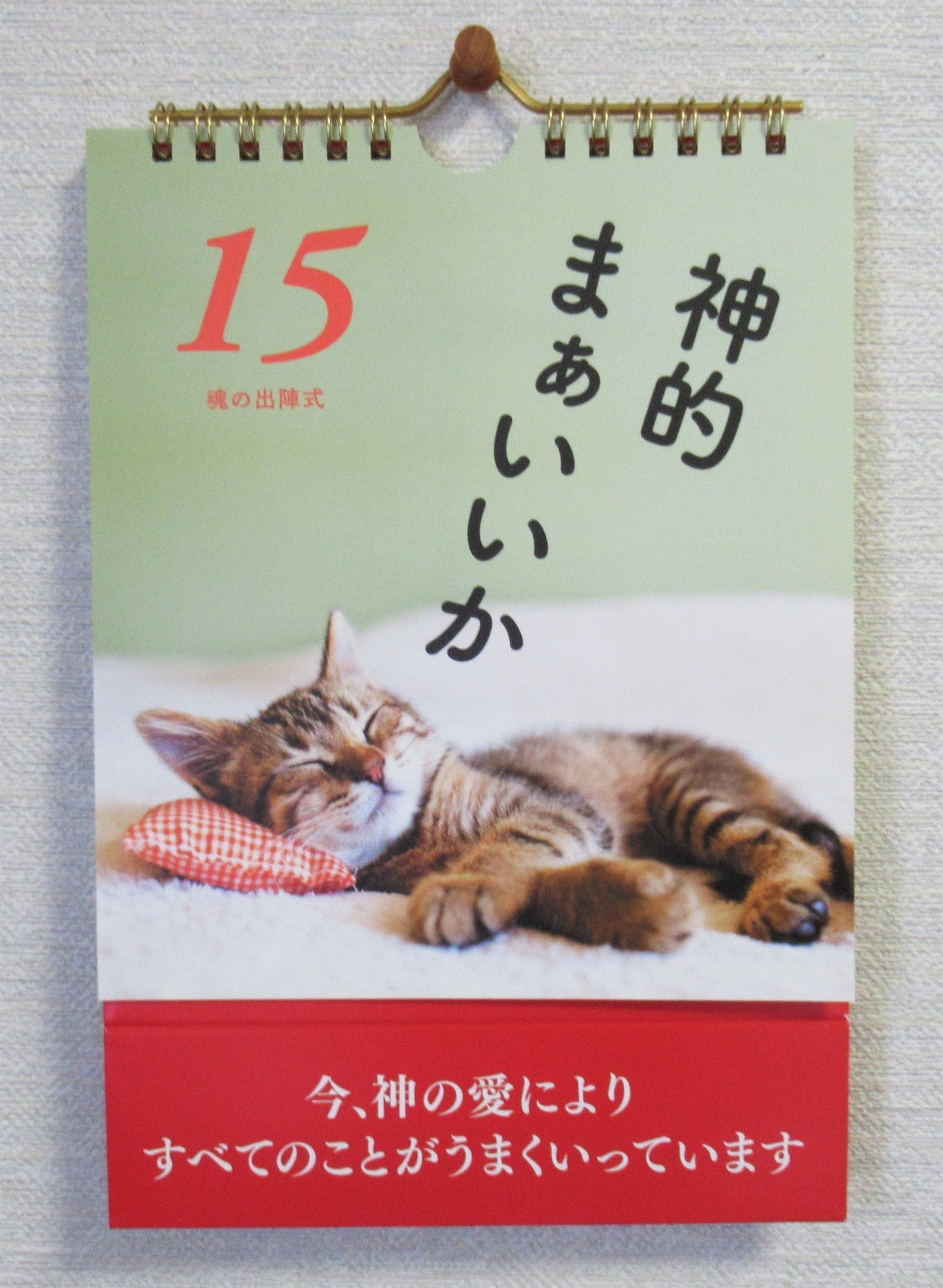 有栖川煉ってホントは女なんだよね。 (全巻) 電子書籍版 / 浅月のりと/鱗 - コミック、アニメ